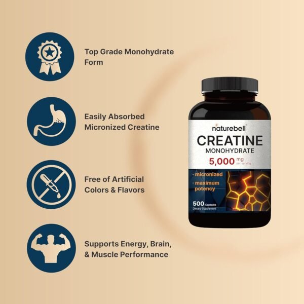 Creatine Monohydrate 5,000mg Per Serving, 500 Capsules | Micronized – Unflavored Creatine Pills – Support Pre Workout & Healthy Muscle – Easily Absorbed, Easy to Swallow (71 Servings) - Image 4
