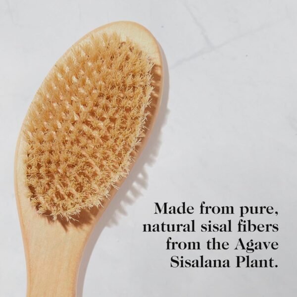 goop Beauty Dry Brush | Detoxifying Body Exfoliator | Wooden Handle with Natural Biodegradable Sisal Fibers | Sweeps Away Dead Skin | FSC-Certified - Image 4