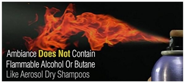 Ambiance Dry Shampoo–3-in-1 Cleans, Covers & Conceals. Absorbs Oil to Refresh Hair, Boosting Body & Shine. Covers Roots & Gray Between Colorings. (Combo- Brush + Refill, Blonde) - Image 7