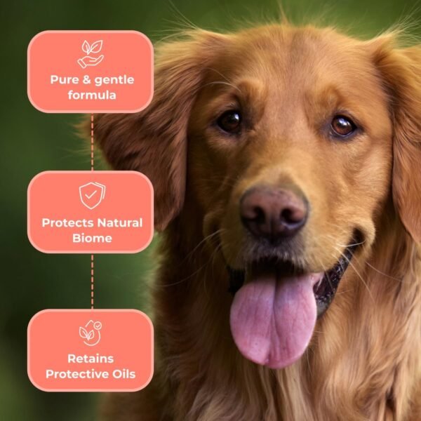 COAT DEFENSE Paw Licker Bundle | Dry Powder for Dogs & Sensitive Skin Dog Shampoo for Allergies and Itching | Smell & Itch Relief | Itchy Skin Relief & Yeast Dog Treatment - Image 6