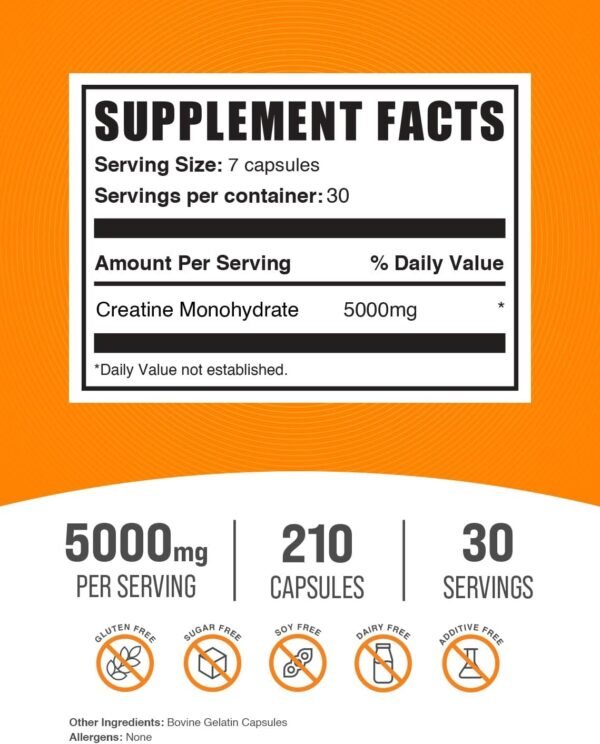 BulkSupplements.com Creatine Monohydrate Capsules - Micronized Creatine Monohydrate, Creatine Pills - 7 Creatine Capsules per Serving, 5000mg, Gluten Free, 210 Capsules (Pack of 1) - Image 3