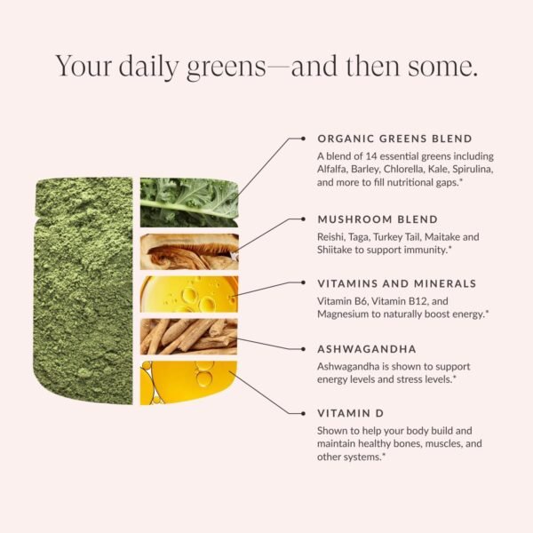 Beam Greens Powder, Greens Superfood Powder, Greens Supplement for Gut Health, Vegan, Non GMO Organic Greens Blend, Daily Greens with Ashwagandha, Vitamin C, B12, B6, D, Strawberry Kiwi, 15 Servings - Image 4