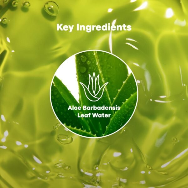 TONYMOLY Aloe Chok Soothing Gel - Image 7