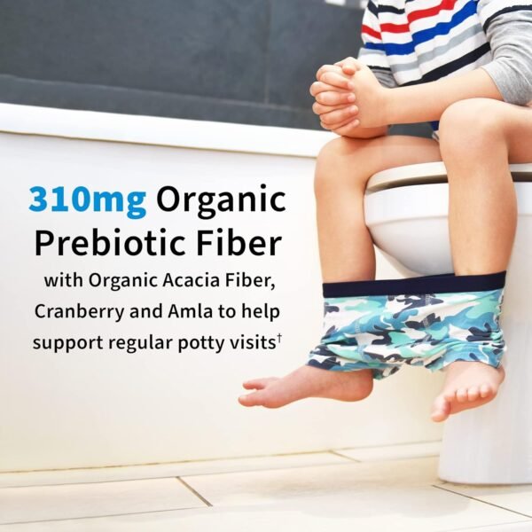 Garden of Life Dr. Formulated Probiotics Organic Kids+ Plus Vitamin C & D - Watermelon - Gluten, Dairy & Soy Free Immune & Digestive Health Supplement, No Added Sugar, 30 Chewables (Shelf Stable) - Image 8