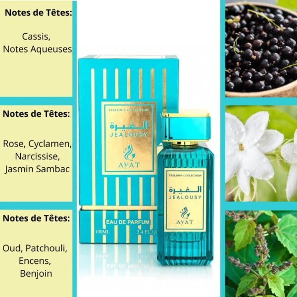 Eau de Parfum FEELINGS 100ml Ayat Perfumes - Made in Dubai With Notes of Rose Vanilla Oud Musk and Woody - EDP Oriental Perfect For Women And Men (Jalousy) - Image 4