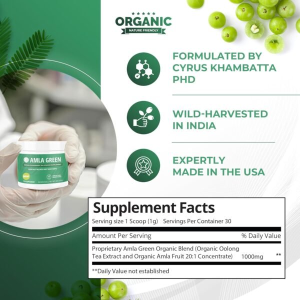 Amla Powder & Decaf Green Tea Superfood Supplement, 20x Ultra Concentrated Amla, Oolong Tea and Indian Gooseberries, Organic, Vegan, 90 Servings - Image 3