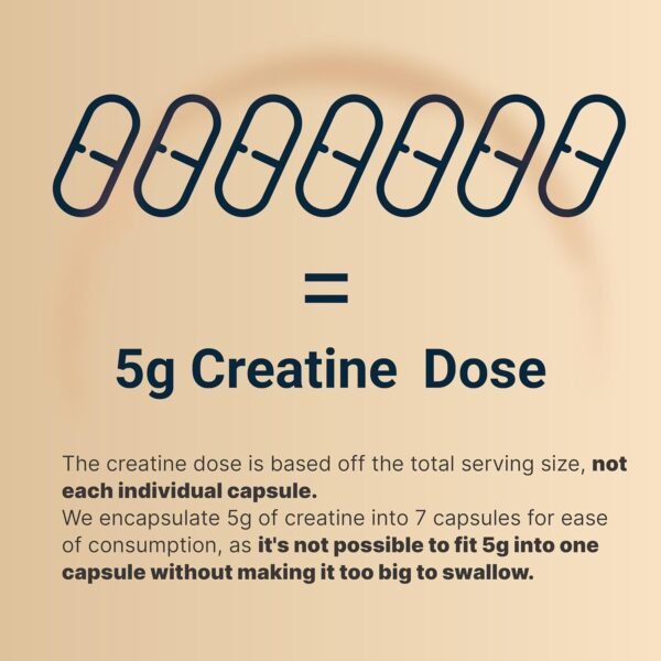 Creatine Monohydrate 5,000mg Per Serving, 500 Capsules | Micronized – Unflavored Creatine Pills – Support Pre Workout & Healthy Muscle – Easily Absorbed, Easy to Swallow (71 Servings) - Image 7