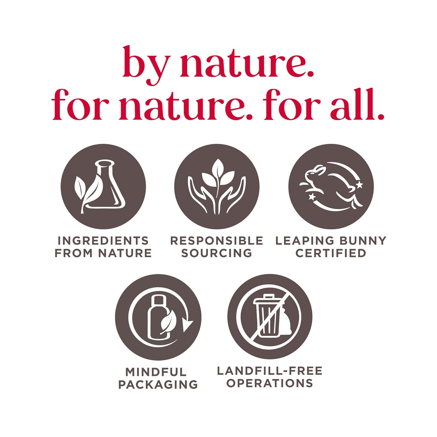 Burt’s Bees Clear and Balanced Herbal Blemish Stick, On the Go Acne Treatment, Unclogs Pores, Use in Skincare Regime, Pack of 12, Pack May Vary - Image 5