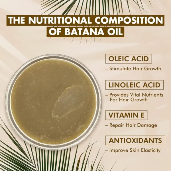 Batana Oil for Hair Growth Organics 100% Natural Pure Batana Hair Oil Batana Oil Nourishes Damaged Hair raw Batana Butter Prevent Hair Loss Natural Hair Growth Oil and Conditioner - Image 7