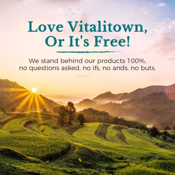 VITALITOWN Probiotics 120 Billion CFUs | 36 Strains, with Prebiotics & Digestive Enzymes for Men Women | Shelf Stable | Digestive Health & Immune Support | Vegan, Non-GMO | 30 Delayed Release Veg Caps - Image 10