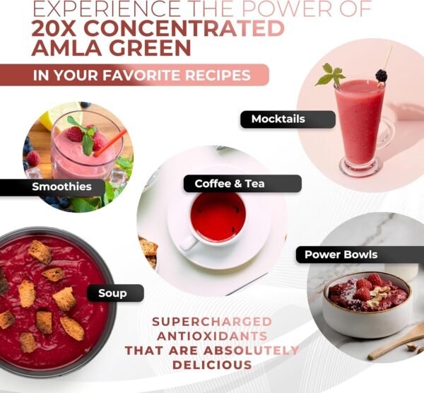 Amla Powder & Green Tea Superfood Supplement with Hibiscus, 20x Ultra Concentrated Amla, Antioxidant Support, Made with Oolong Tea and Indian Gooseberries, Organic, Vegan, Hibiscus, 90 Servings - Image 7