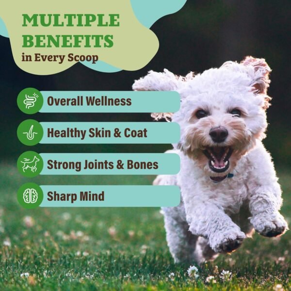 Natural Dog Company Dog Food Topper, Super Greens Dog Multivitamin Powder, Dog Vitamins and Supplements, Boost Immunity & Digestion, Dog Wellness Granules, Nutrient-Rich Food Topper for Dogs, 8 oz - Image 4