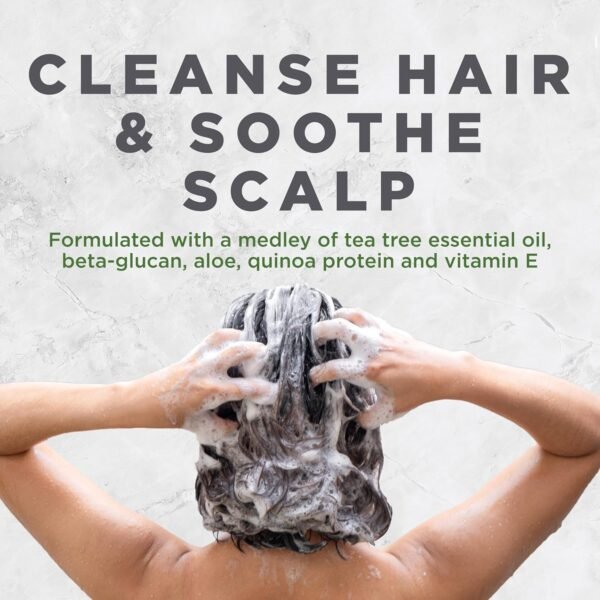 Avalon Organics Scalp Treatment Tea Tree Shampoo, Encourages Scalp Well-Being and Leaves Hair Soft, 32 Fluid Ounces - Image 5