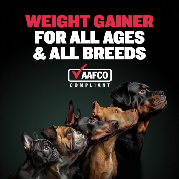 Bully Max Weight Gainer Liquid for Puppies & Adult Dogs - 2-in-1 High Calorie Multivitamin Dog Supplements & Vitamins for Weight Gain with Omega 3 & Whey Protein for All Breeds & Ages - 16 oz Bag - Image 3