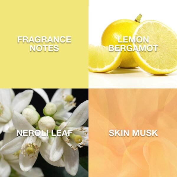 Lucky Brand Re/Energize The New Sustainably-Inspired & Exhilarating Mood-Evoking Unisex Fine Fragrance Mist For Women & Men, 8.0 Fl Oz (Pack of 1) - Image 3