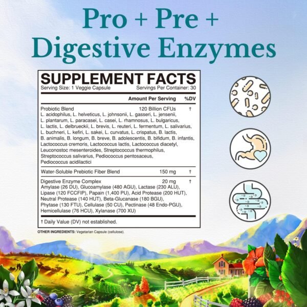 VITALITOWN Probiotics 120 Billion CFUs | 36 Strains, with Prebiotics & Digestive Enzymes for Men Women | Shelf Stable | Digestive Health & Immune Support | Vegan, Non-GMO | 30 Delayed Release Veg Caps - Image 3