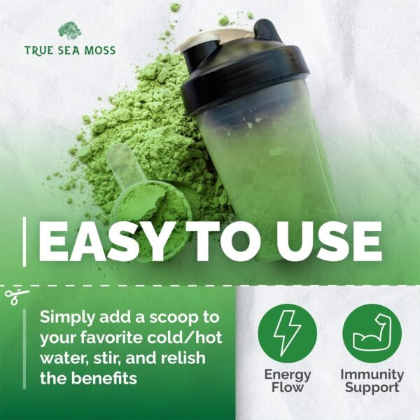 Greens Powder - 25 Organic Superfoods for Digestive and Gut Health with Probiotics, Turmeric and Ashwagandha - 30 Servings - Image 5