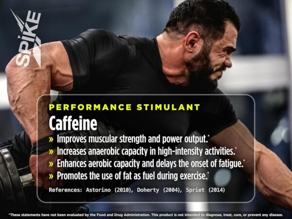 Spike Hardcore Energy Drink - N-Acetyl-L-Tyrosine (NALT), Beta-Alanine, Caffeine, B12-16 Fl Oz (Pack of 12, Original, Sugar-Free) - Image 5