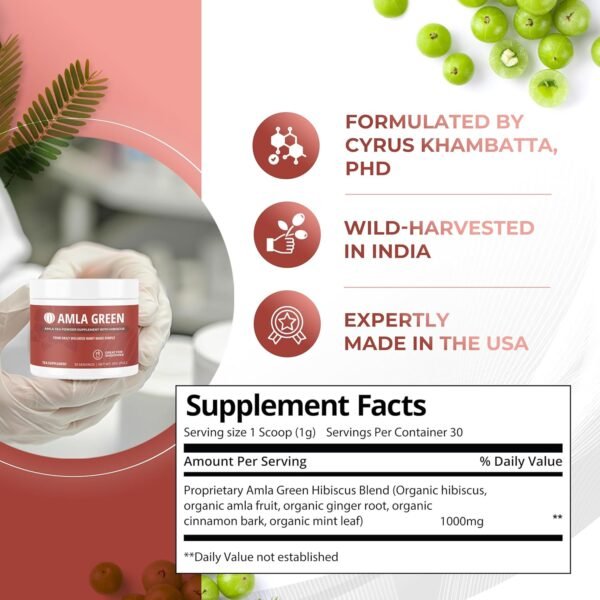 Amla Powder & Green Tea Superfood Supplement with Hibiscus, 20x Ultra Concentrated Amla, Antioxidant Support, Made with Oolong Tea and Indian Gooseberries, Organic, Vegan, Hibiscus, 90 Servings - Image 3