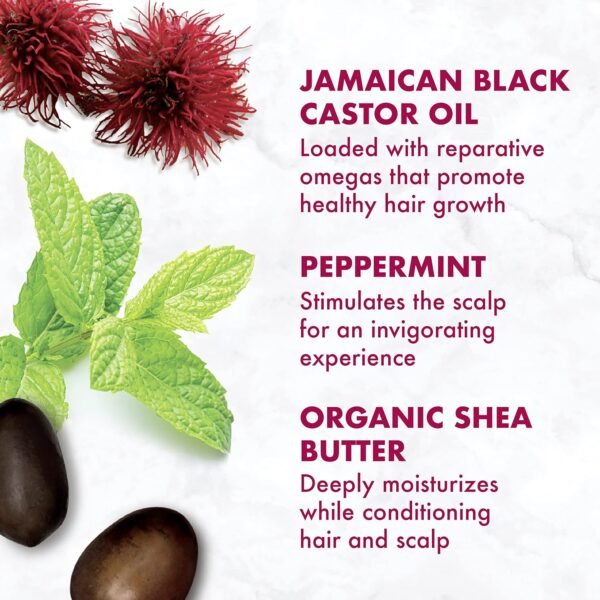 SheaMoisture Conditioner 100% Pure Jamaican Black Castor Oil to Intensely Smooth and Nourish Hair with Shea Butter, Peppermint and Apple Cider Vinegar 13 oz - Image 12