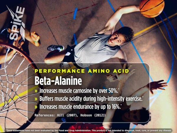 Spike Hardcore Energy Drink - N-Acetyl-L-Tyrosine (NALT), Beta-Alanine, Caffeine, B12-16 Fl Oz (Pack of 12, Original, Sugar-Free) - Image 6