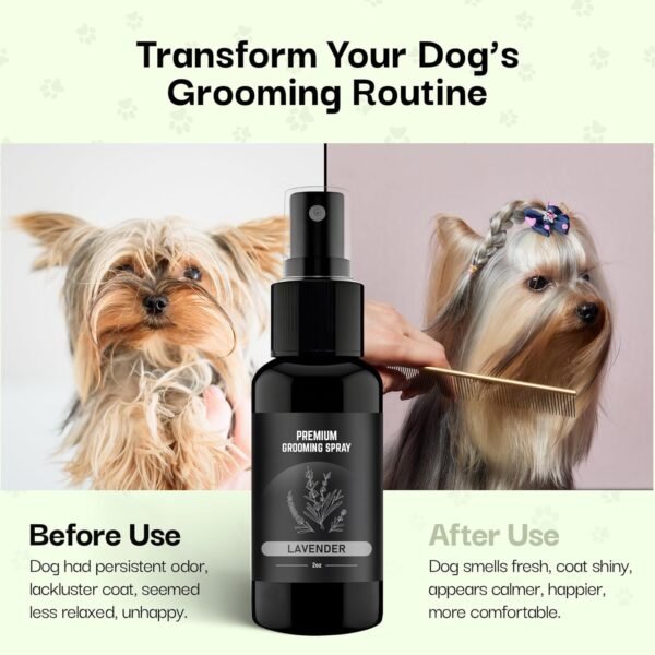 605Products Premium Dog Cologne & Odor Eliminator - Long Lasting Puppy Perfume, Deodorant & Grooming Spray with Essential Oils, 2oz Lavender (3-Pack) - Image 7