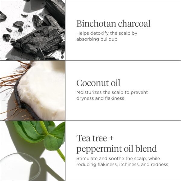 Briogeo Scalp Revival Charcoal + Coconut Oil Micro-Exfoliating Shampoo, Treatment for Dry & Itchy Scalp, Clarifying Shampoo for Build Up, Scalp Scrub for Oily Scalp, Vegan, Cruelty-Free - Image 4