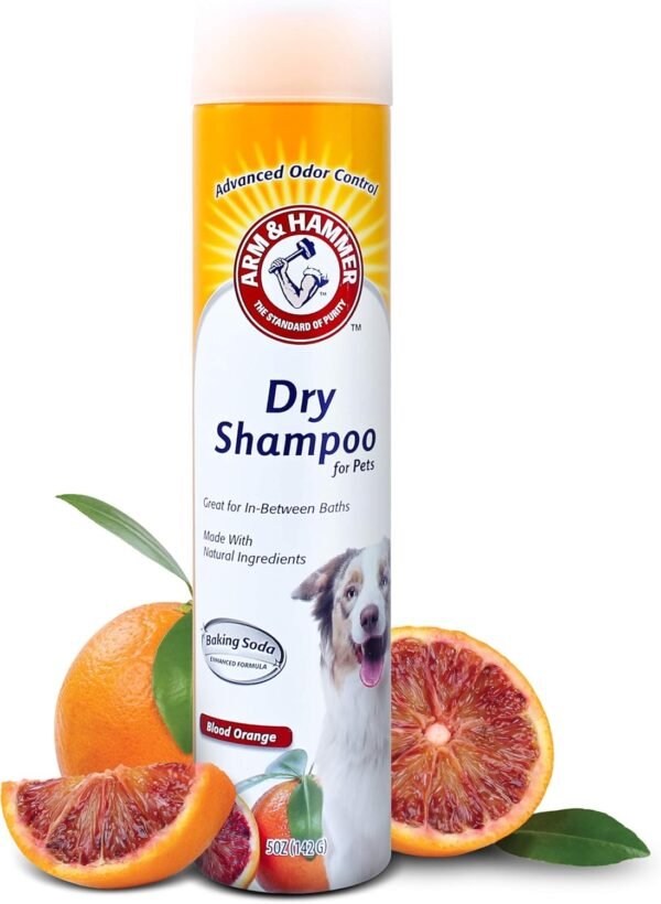 Arm & Hammer for Pets Aerosol Dry Shampoo for Dogs & Puppies | Waterless | Citrus Blood Orange Scent, 5 Ounce Bottle - Image 2