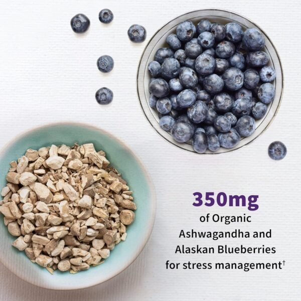 Garden of Life Probiotics Mood+ Dr Formulated Acidophilus Probiotic Supplement - Promotes Emotional Well-Being, Relaxation and Digestive Balance - Ashwagandha for Stress Management, 60 Veggie Caps - Image 5